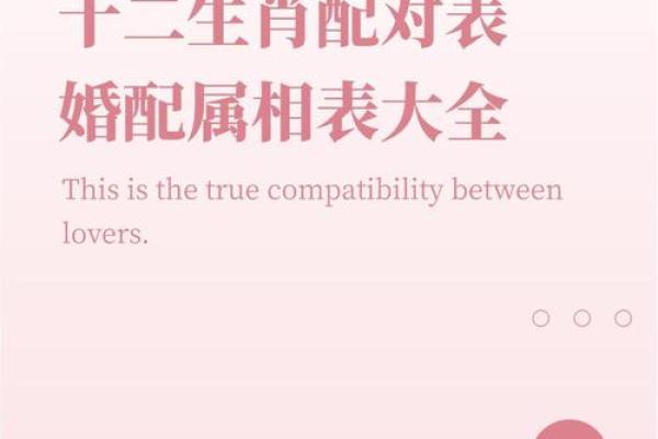 2017年酉时出生的命运揭秘:你的生肖与命理关系揭秘! 2017年酉时出生的命运揭秘:你的生肖与命理关系揭秘!