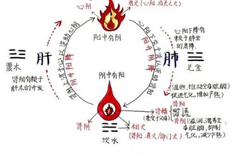 女生命格阳气太重，如何调和阴阳找回平衡？