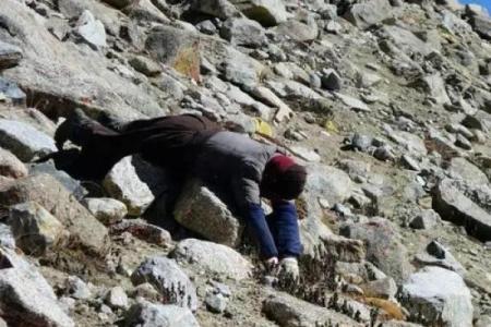 解读申命记的深意与预表：走向信仰的旅程