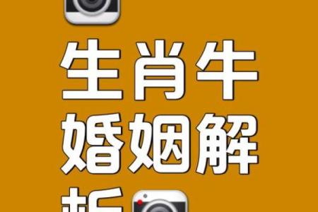 1998年出生的牛年命运解析：探索牛年的特质与运势