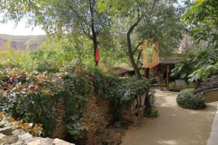 唯她命：深情波动中的灵魂追寻之旅