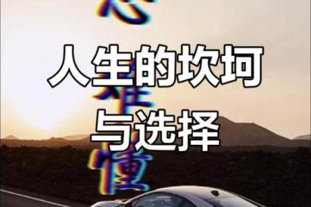 1955年出生的人命运解析：揭示五行之谜与人生智慧