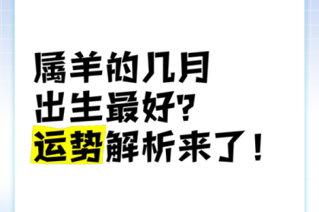 1991年羊年宝宝的命理解析与人生运势探讨