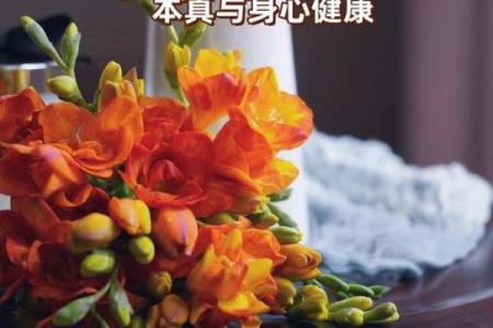 男命流年与怀孕的美好契机：如何把握生命的节奏