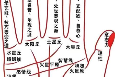 男生指甲弯曲的命运解析：深藏于指尖的秘密与人生哲学