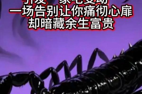 揭开天蝎的神秘面纱:冥王星的影响与启示 揭开天蝎的神秘面纱:冥王星的影响与启示