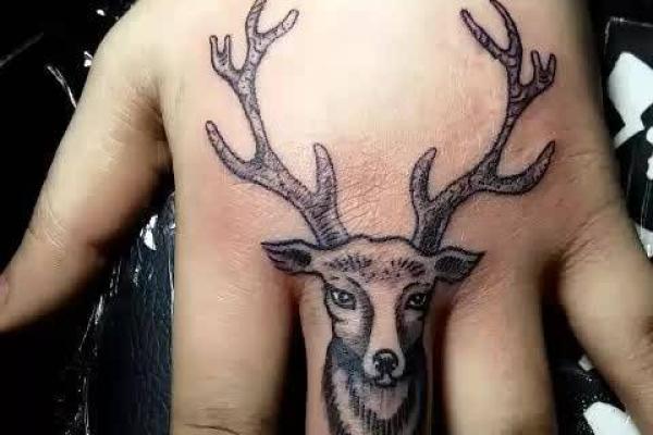 手指向手背,命运之谜揭晓:你知道吗? 手指向手背,命运之谜揭晓:你知道吗?