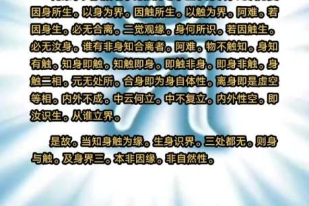 今世为尼姑的命运：一段灵魂的冥思与升华