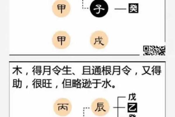 深入浅出：什么样的命适合学八字命理？