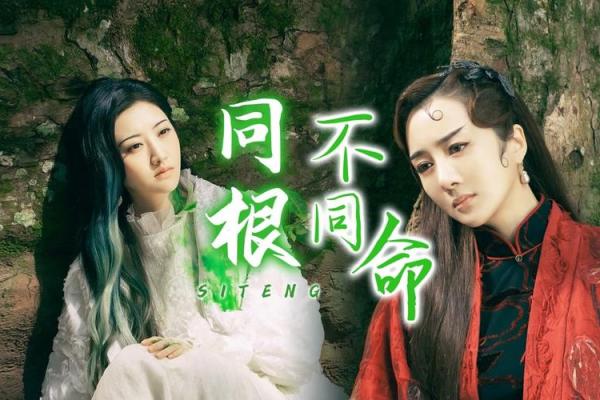 骑马坐轿,命运的不同选择与人生智慧 骑马坐轿,命运的不同选择与人生智慧