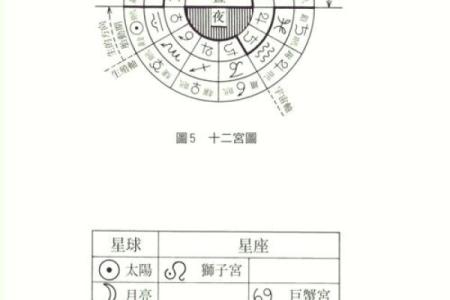 紫薇命理中的星座解析：解密你命运的神秘符号与影响力
