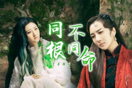 骑马坐轿，命运的不同选择与人生智慧