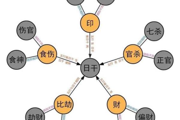 2016年出生的孩子：命理解析与人生规划