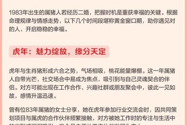 2019年猪宝宝命理解析：幸福与成功如何伴随而来？