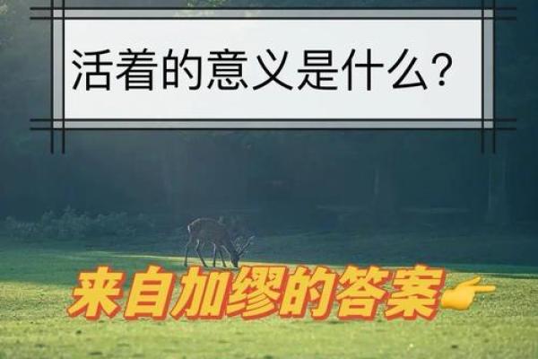 没有后代的命运：生命意义的探讨与思考
