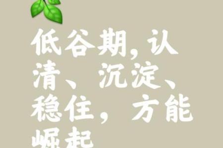 命运如石，攀登人生的高峰与低谷