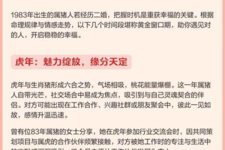 2019年猪宝宝命理解析：幸福与成功如何伴随而来？