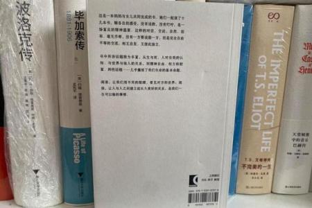 探索尼姑命的前世今生：是谁在指引她们的灵魂旅程？