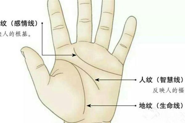 手指十螺纹揭秘：揭开命运之线的神秘面纱