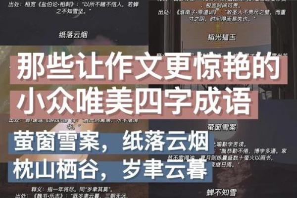 探寻成语的智慧：解析“根据什么命什么征”的词汇魅力