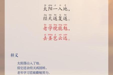 探寻太阳命的奥秘：了解自我与生命的光辉