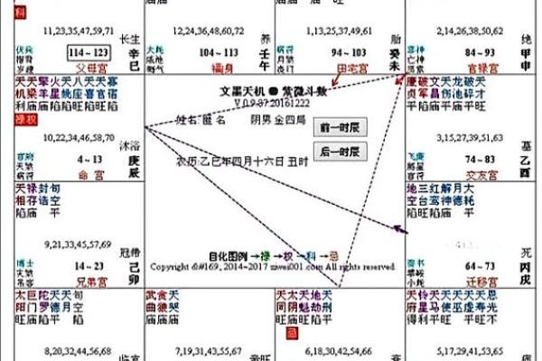 探寻紫薇命格：字代表与命运的深刻联系