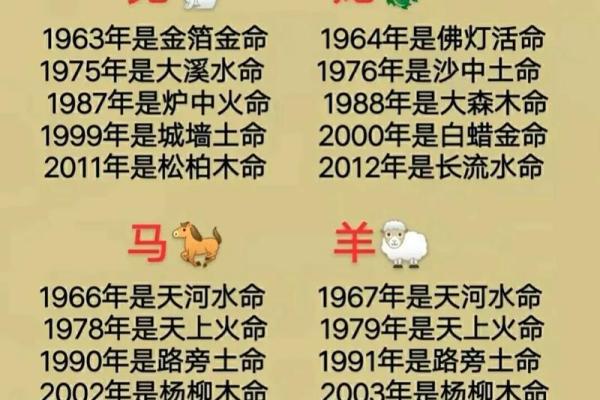 1995年猪年火命的命运解析与生活智慧 1995年猪年火命的命运解析与生活智慧