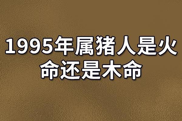 1995年猪年火命的命运解析与生活智慧 1995年猪年火命的命运解析与生活智慧