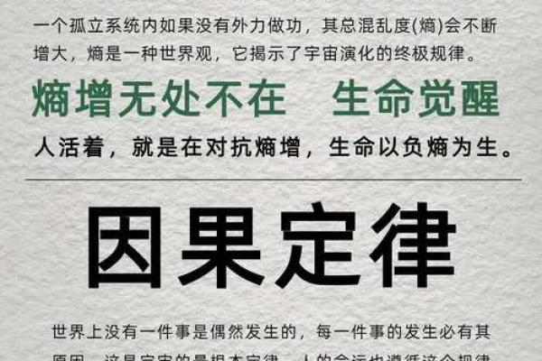 揭示丁亥庚戌己亥己命运背后的奥秘与智慧 揭示丁亥庚戌己亥己命运背后的奥秘与智慧