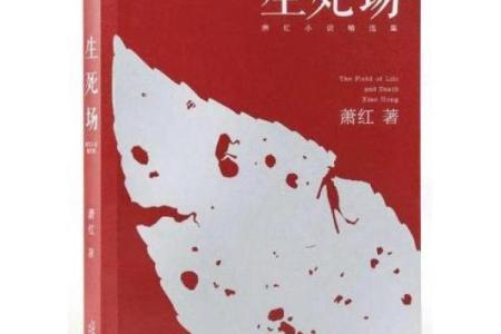 生命的艰辛与劳苦：命运的启示与反思