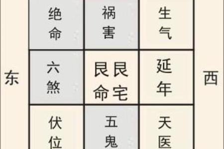 探寻1946年出生女性的宅命特征与生活智慧