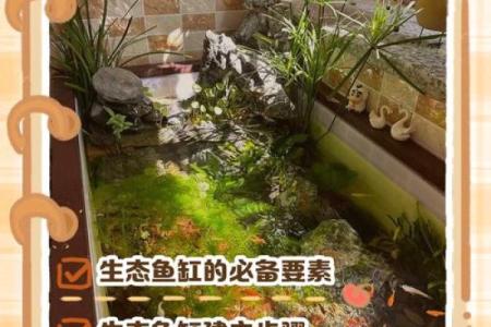 如何根据火命选鱼缸颜色，助你运势大增！