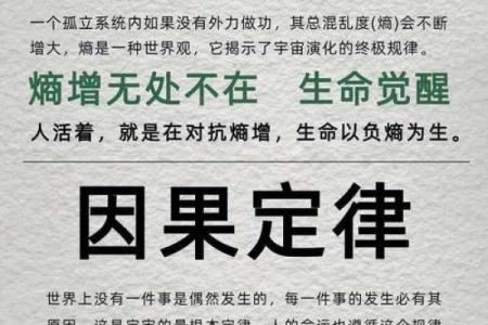 揭示丁亥庚戌己亥己命运背后的奥秘与智慧