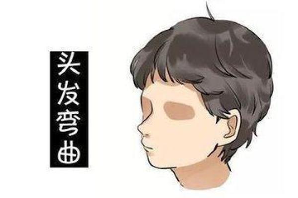 头发太多的人命运：从外表到内心的深层解析