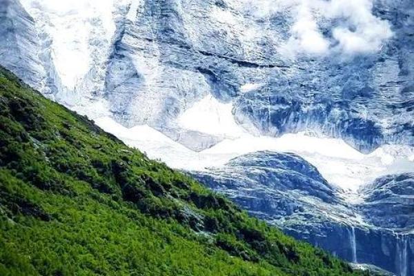 探寻除土狗之命:揭示古老信仰中的神秘力量与现实意义 探寻除土狗之命:揭示古老信仰中的神秘力量与现实意义