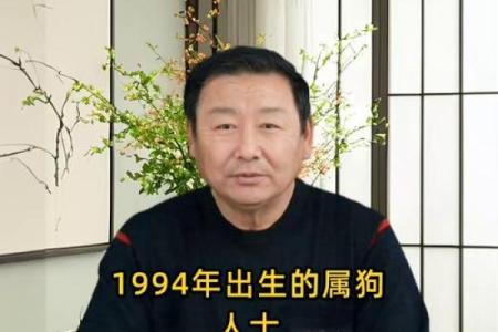 1994年属狗男子命运揭示：从性格到事业发展的全面解析