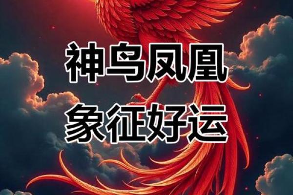命理中的凤凰：象征重生与吉祥的神圣寓意