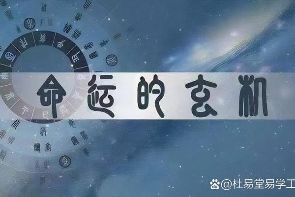揭秘算命学中学士命的奥秘与人生轨迹