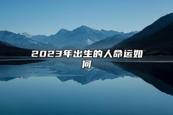 2023年:兔年带来的机遇与挑战,命运的转变与启示 2023年:兔年带来的机遇与挑战,命运的转变与启示