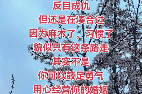 命格与晚婚：选择适合自己的幸福之路