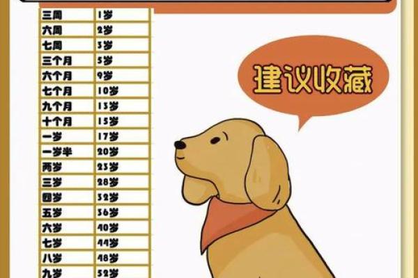 属狗1979年出生者的命理解析与人生运势