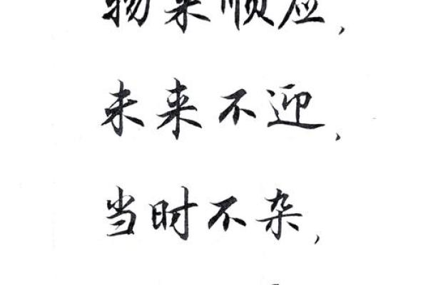 78岁属鸡的命运解析:人生的智慧与启示 78岁属鸡的命运解析:人生的智慧与启示