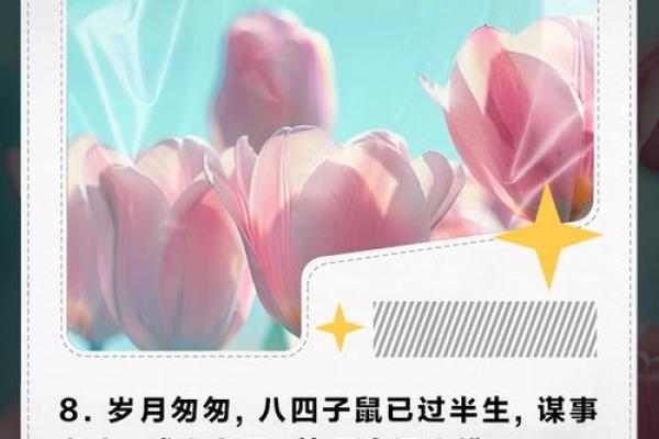 1984鼠年出生的人命运解析与人生智慧