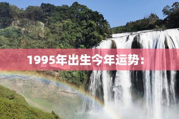 1993年阴历4月出生者的命运解析与人生展望