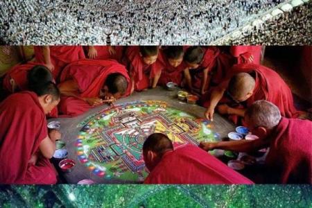 九命灵猫：探寻生命的无限可能与灵魂的轮回