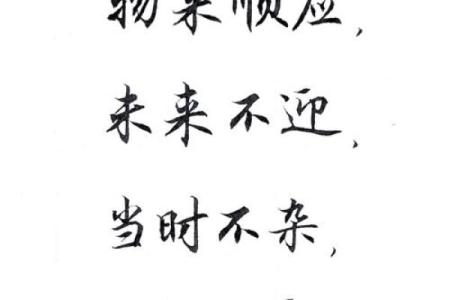 78岁属鸡的命运解析：人生的智慧与启示