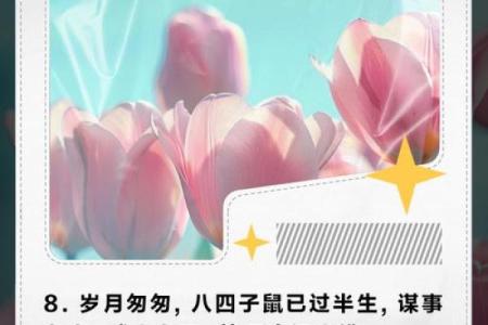 1984鼠年出生的人命运解析与人生智慧