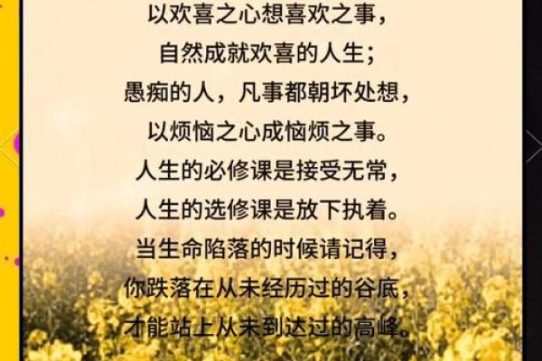 心态决定命运：如何拥有美好的人生