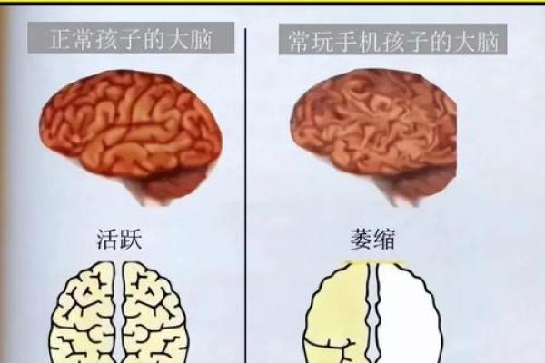 大林木命的孩子:命理与性格的奇妙联结 大林木命的孩子:命理与性格的奇妙联结