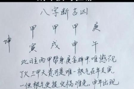 如何理解“命坤”——探讨命理学的深奥与魅力